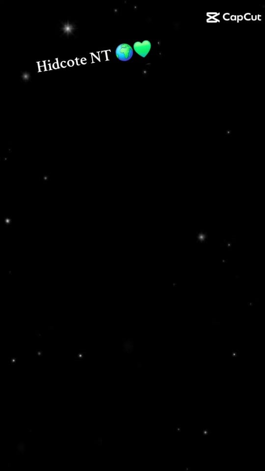 Post 10 by Danny 🌺 on TikTok (video)