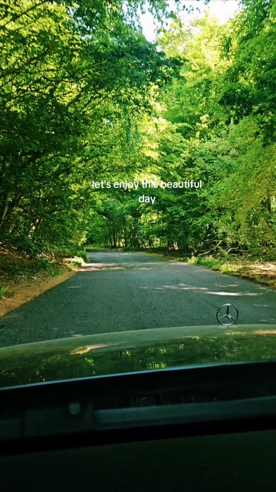 Post 6 by Danny 🌺 on TikTok (video)