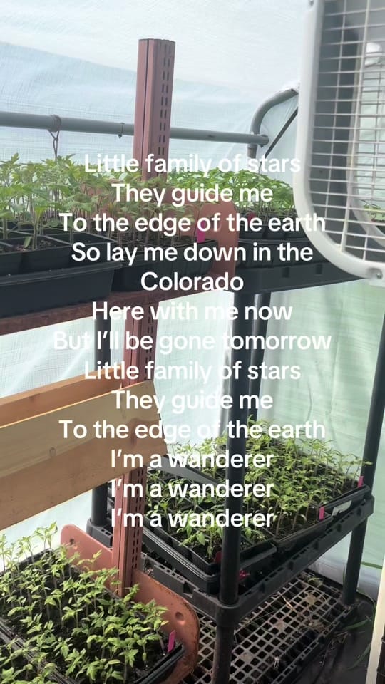 Post 5 by Wally on TikTok (video)