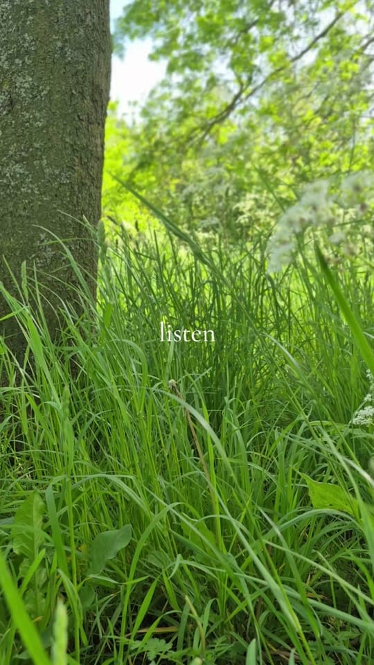 Post 4 by Feminine Healer on TikTok (video)