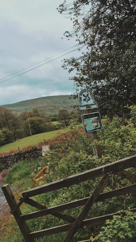 Post 6 by Feminine Healer on TikTok (video)