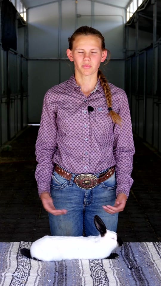 Post 10 by Bar SZ Ranch on TikTok (video)