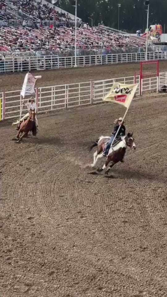 Post 2 by Bar SZ Ranch on TikTok (video)