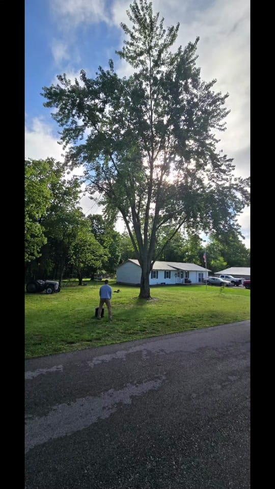 Post 1 by minxracing58 on TikTok (video)
