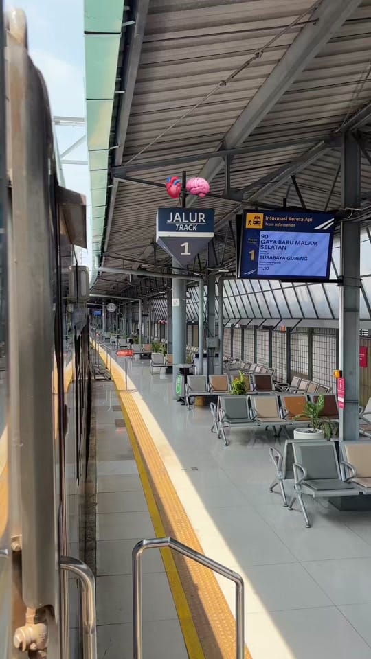 Post 8 by rfi on TikTok (video)
