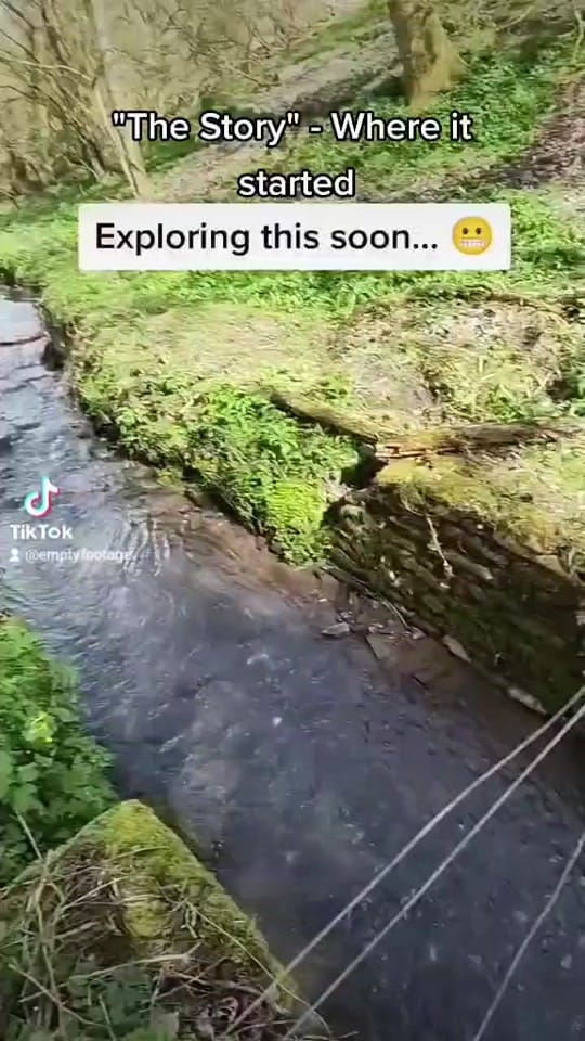 Post 3 by 𝘌𝘮𝘱𝘵𝘺 𝘍𝘰𝘰𝘵𝘢𝘨𝘦 on TikTok (video)