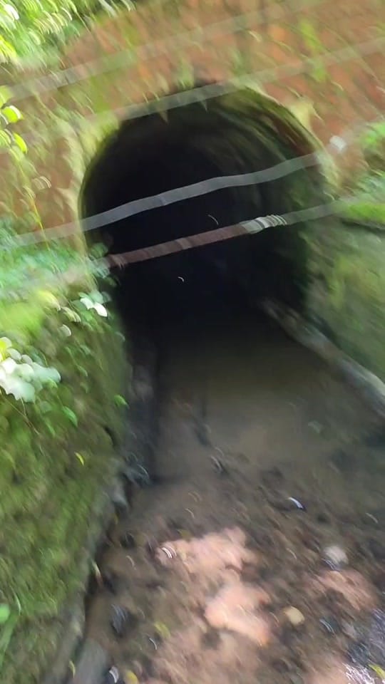 Post 1 by 𝘌𝘮𝘱𝘵𝘺 𝘍𝘰𝘰𝘵𝘢𝘨𝘦 on TikTok (video)