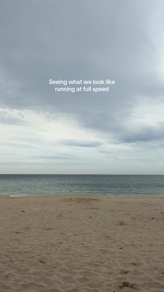 Post 8 by meg🌞🐚🌊 on TikTok (video)