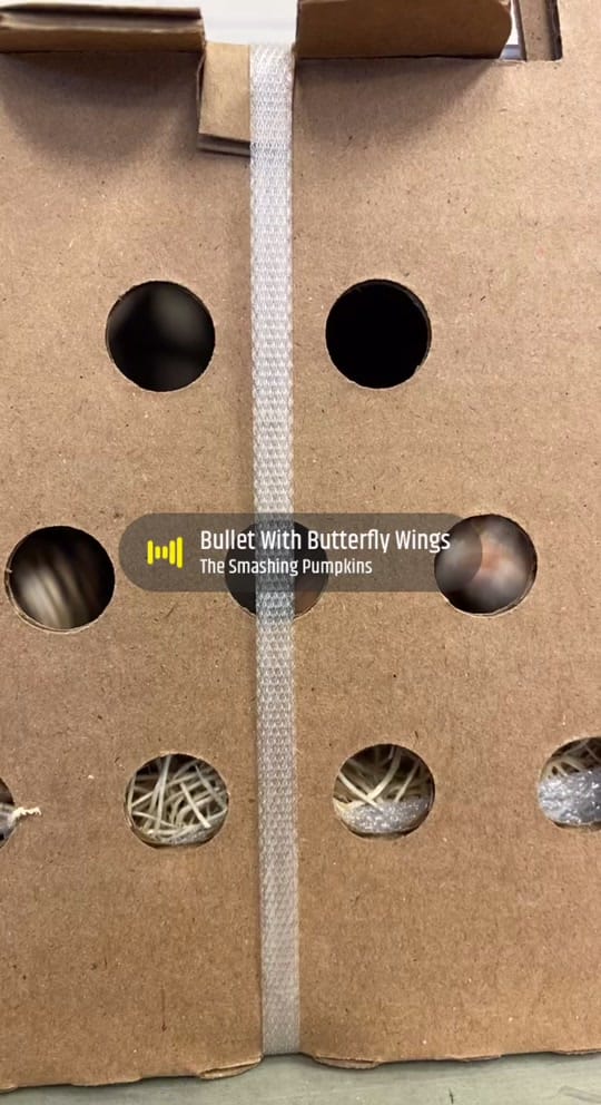 Post 3 by doddscattle on TikTok (video)