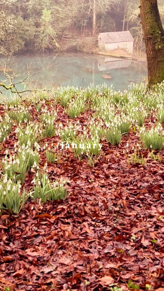 Post 1 by Visit The Cotswolds on TikTok (video)