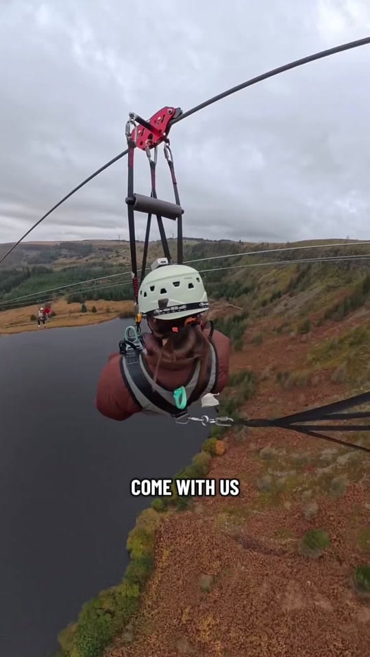 Post 2 by Zip World | Adventures on TikTok (video)