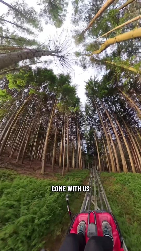 Post 6 by Zip World | Adventures on TikTok (video)