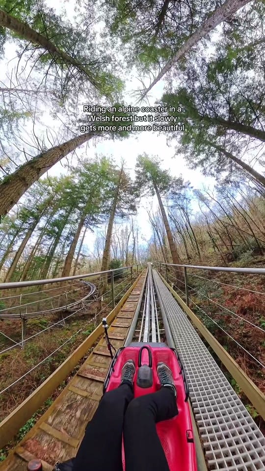 Post 9 by Zip World | Adventures on TikTok (video)