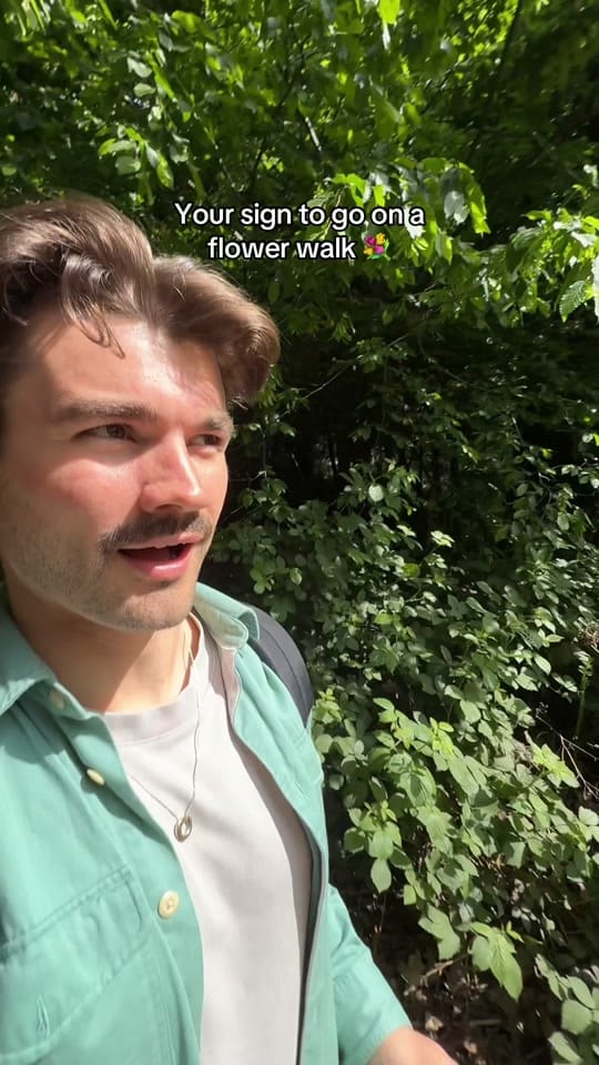 Post 4 by Will Ainslie on TikTok (video)