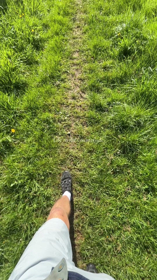 Post 6 by Will Ainslie on TikTok (video)