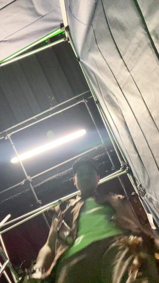 Post 5 by Ryan Wirtz on TikTok (video)