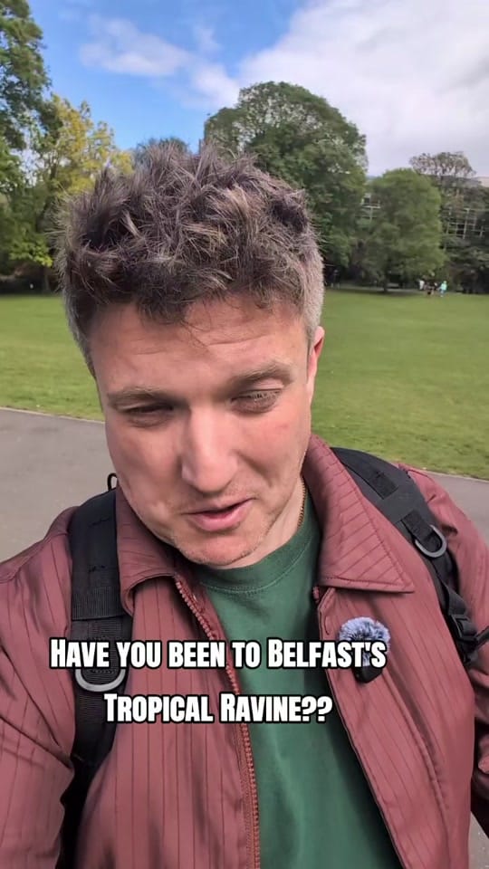 Post 6 by Document Belfast on TikTok (video)