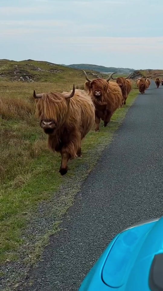 Post 8 by A Scots Eye View on TikTok (video)