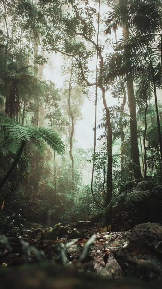 Post 3 by RabbitTank on TikTok (video)