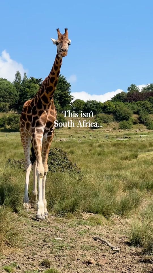 Post 7 by Kelsey💗London Travel Creator on TikTok (video)