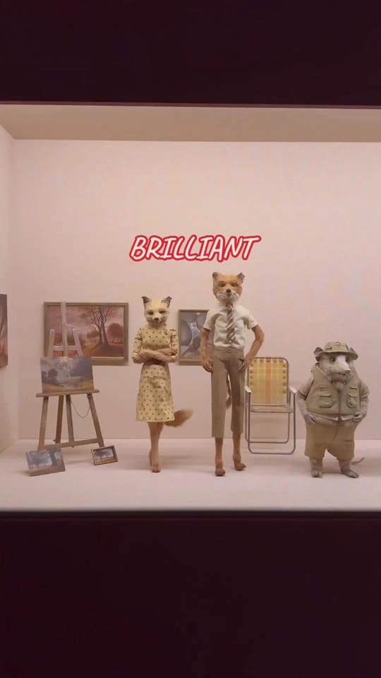 Post 9 by Emma Cooke on TikTok (video)