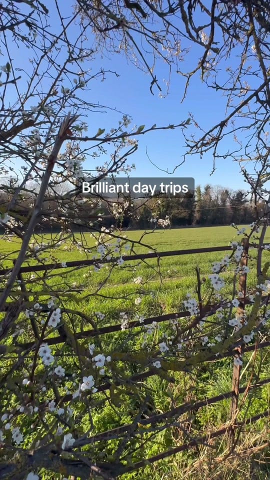 Post 10 by Emma Cooke on TikTok (video)