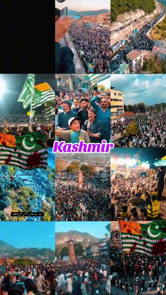 Post 6 by SHERAZ AHMED @kashmiri-spice on TikTok (video)