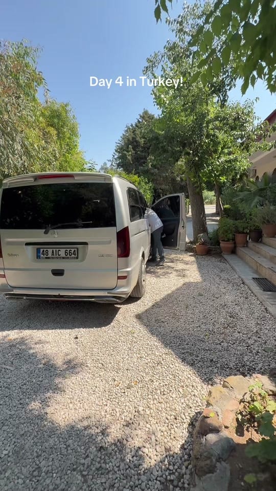 Post 5 by Polly Frier | Content Creator on TikTok (video)