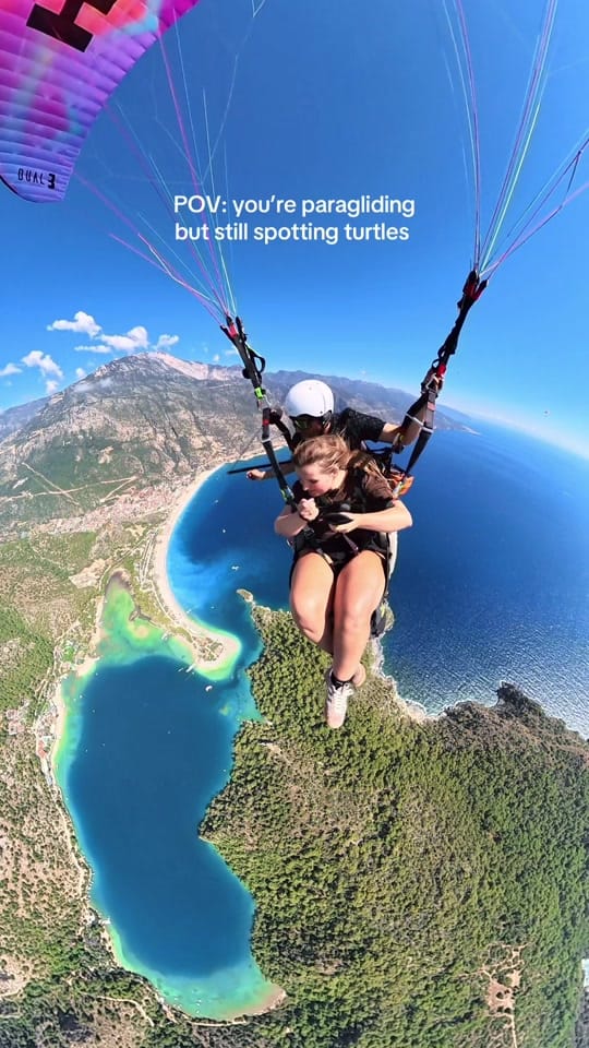 Post 6 by Polly Frier | Content Creator on TikTok (video)