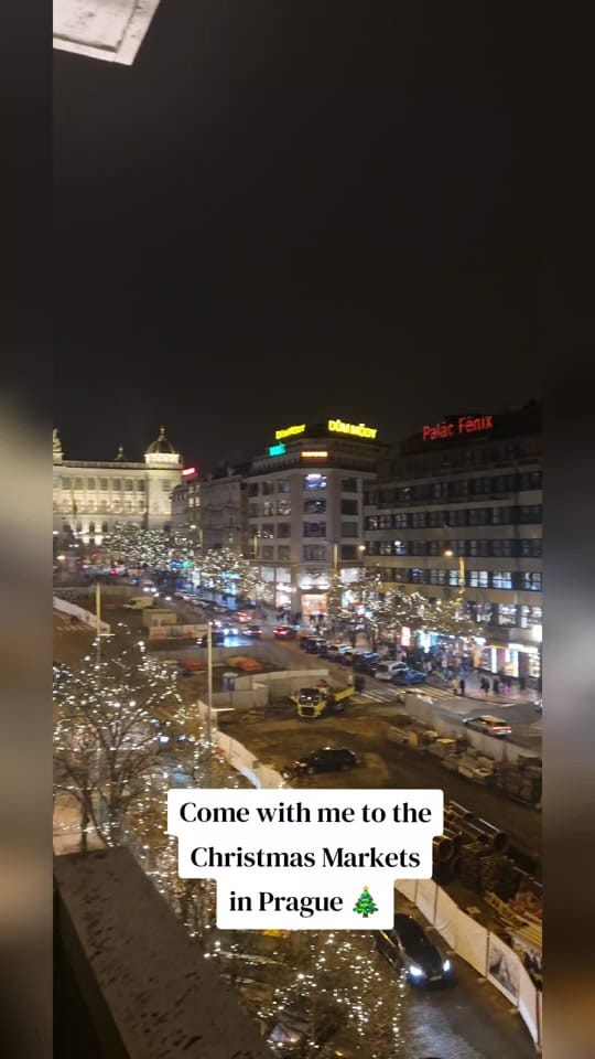 Post 9 by Dee the Wanderer 🌏 on TikTok (video)