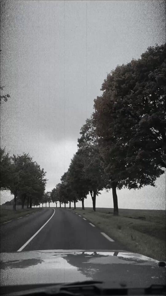 Post 3 by Fzexplorer on TikTok (video)