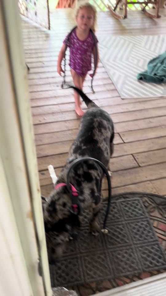 Post 4 by Denee’ (DaNay) | SAHM on TikTok (video)