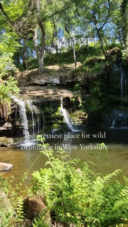 Post 6 by Jess in Yorkshire on TikTok (video)
