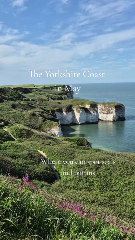 Post 2 by Jess in Yorkshire on TikTok (video)