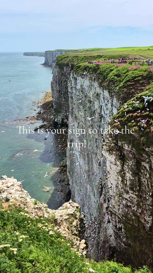 Post 1 by Jess in Yorkshire on TikTok (video)