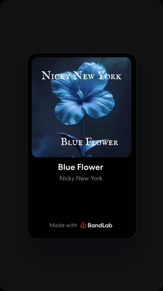 Post 3 by Nicky New York on TikTok (video)