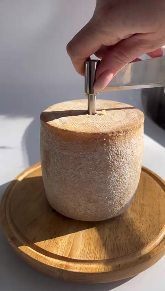 Post 10 by Morgan M Carr | Cheese Expert on TikTok (video)