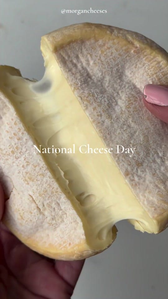 Post 5 by Morgan M Carr | Cheese Expert on TikTok (video)