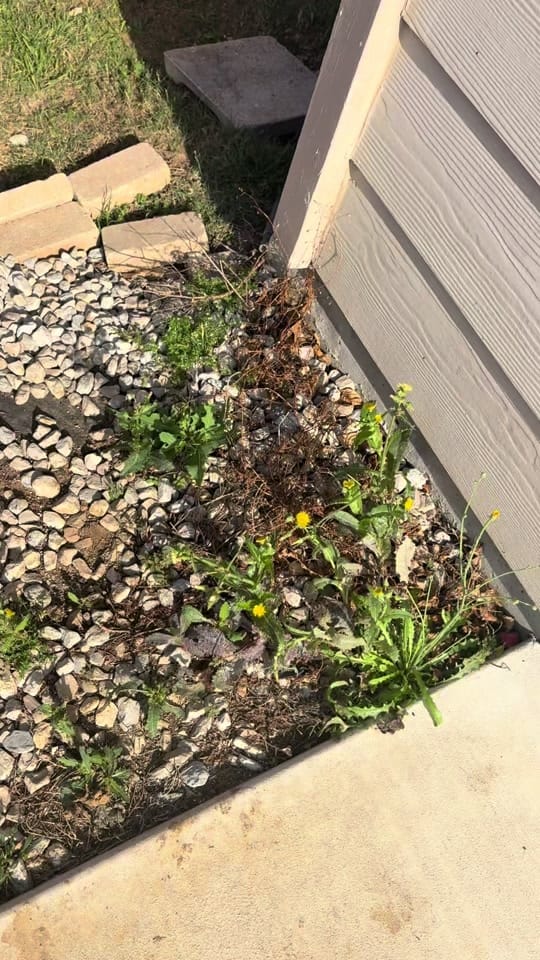 Post 3 by austingeter on TikTok (video)