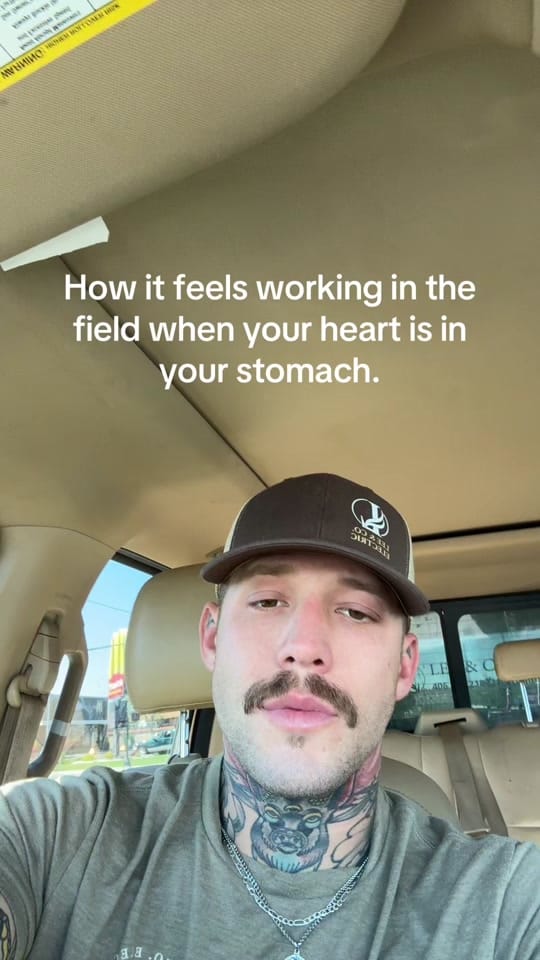 Post 5 by jstnmlee on TikTok (video)