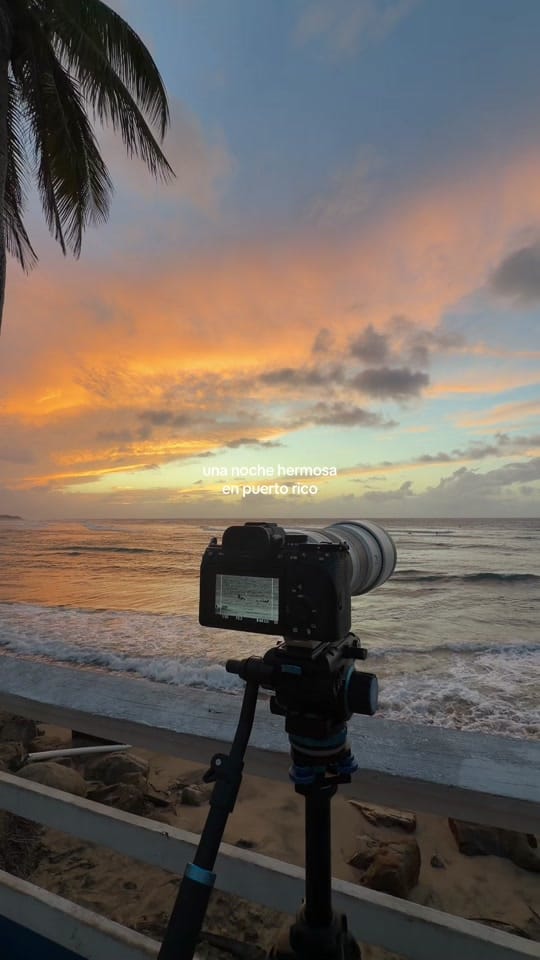 Post 5 by teagan reece on TikTok (video)