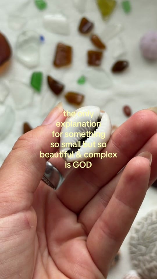 Post 7 by teagan reece on TikTok (video)