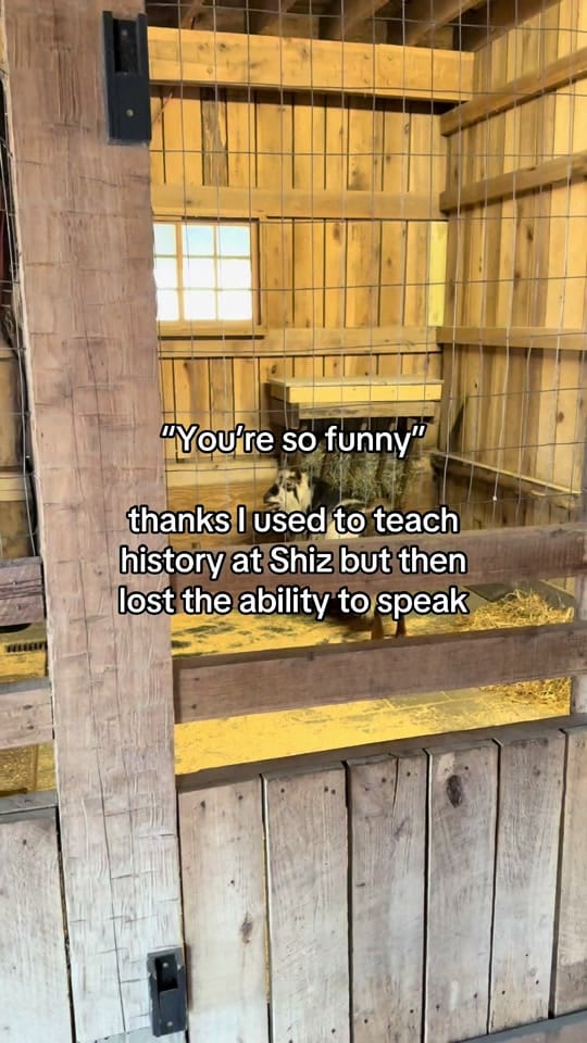 Post 8 by Anthony Ciulla on TikTok (video)