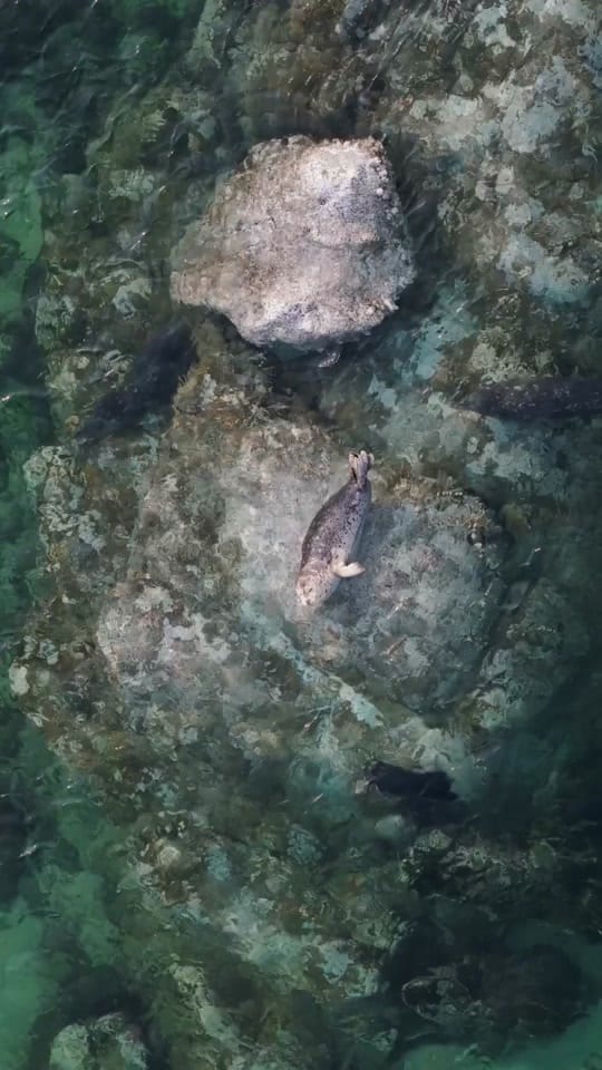 Post 9 by Alex Clark on TikTok (video)