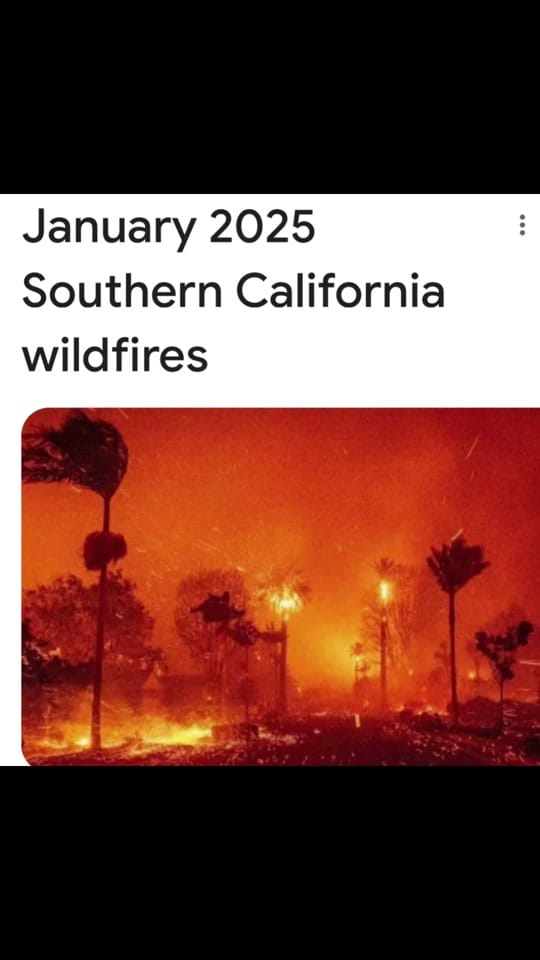 Post 4 by Bite Size Hollywood on TikTok (video)
