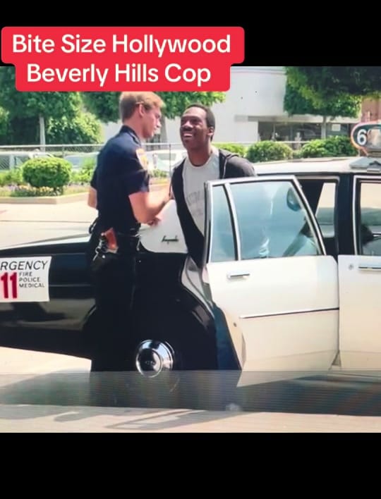 Post 6 by Bite Size Hollywood on TikTok (video)