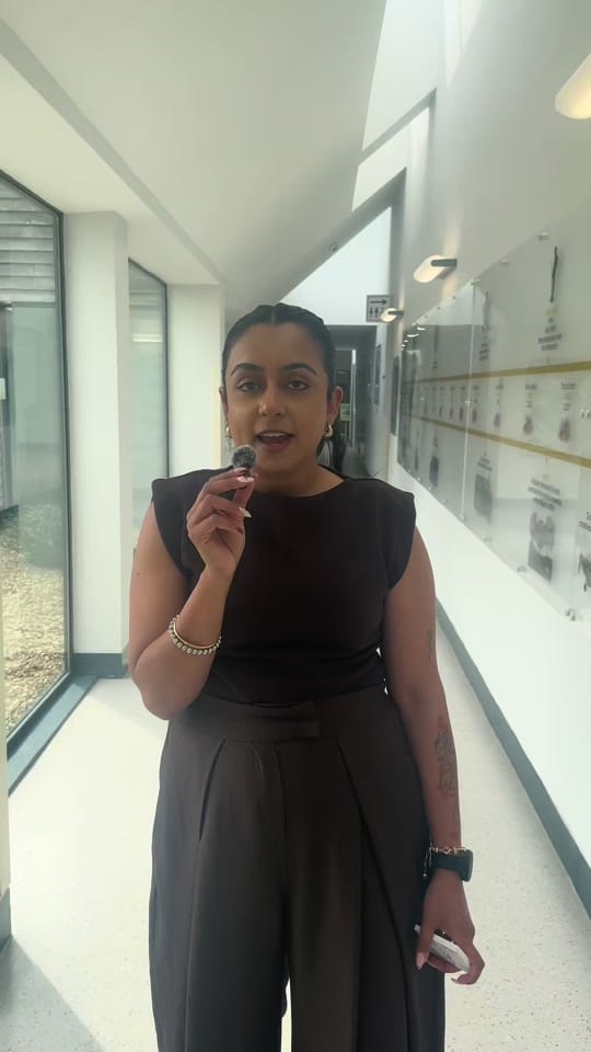 Post 8 by Pavan Panesar on TikTok (video)