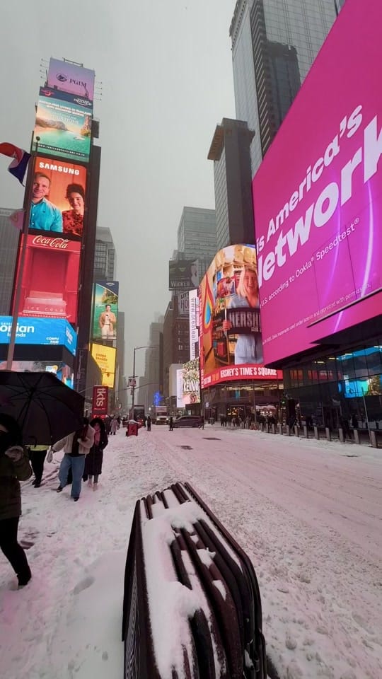 Post 4 by Elizabeth ✧ NYC on TikTok (video)