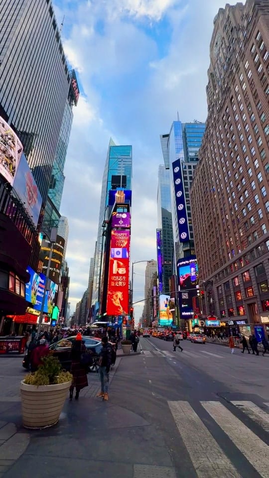 Post 6 by Elizabeth ✧ NYC on TikTok (video)
