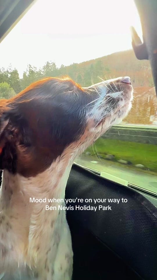 Post 1 by Highland Holidays on TikTok (video)
